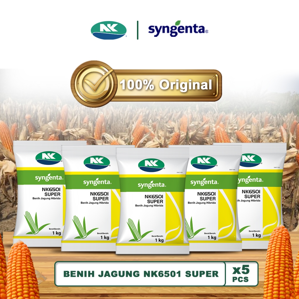 Benih Jagung NK 6501 | NK SUPER - 5Kg