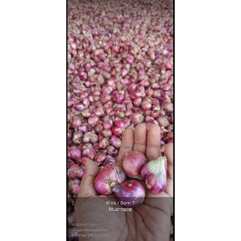 

bawang merah 1kg/bawang merah lokal