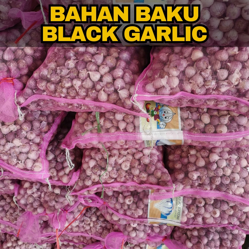

Bawang Putih Tunggal Lanang Kualitas Premium Import Super 1Kg Bahan Baku Black Garlic Bawang Hitam