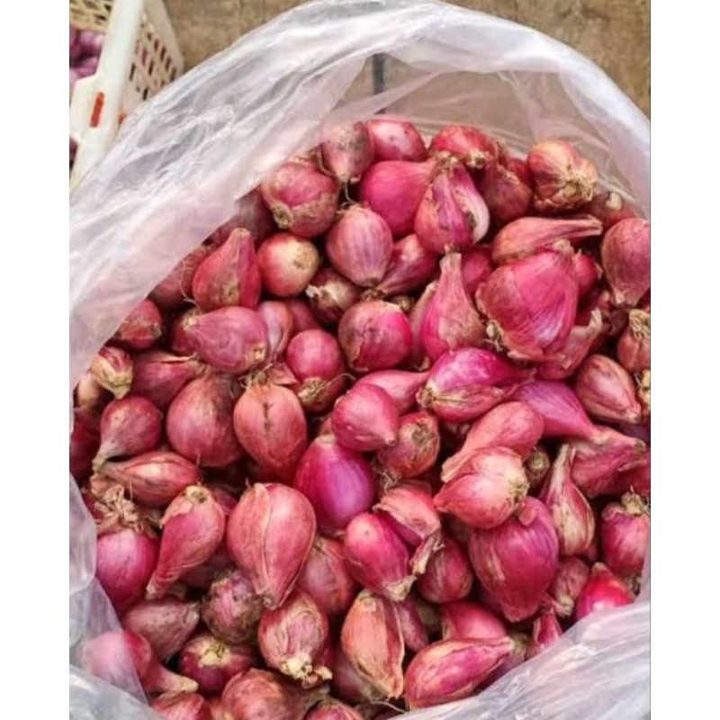 

bawang merah SUPER 250gr asli garut bawang merah murah bawang merah diskon