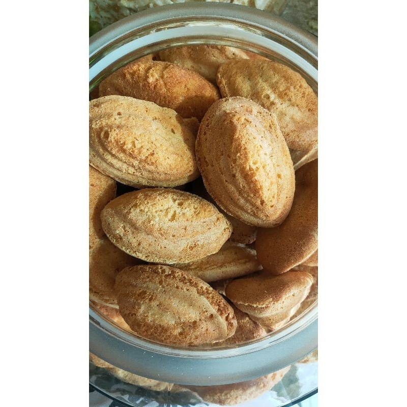 

Bolu panggang kijing