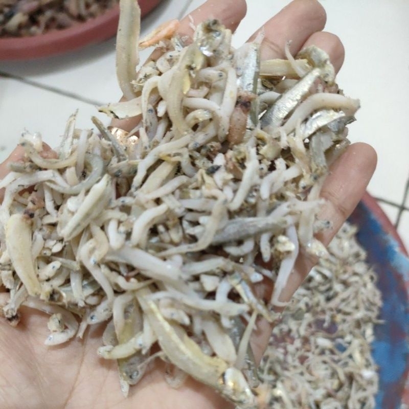 

teri campur campur ikan kecil