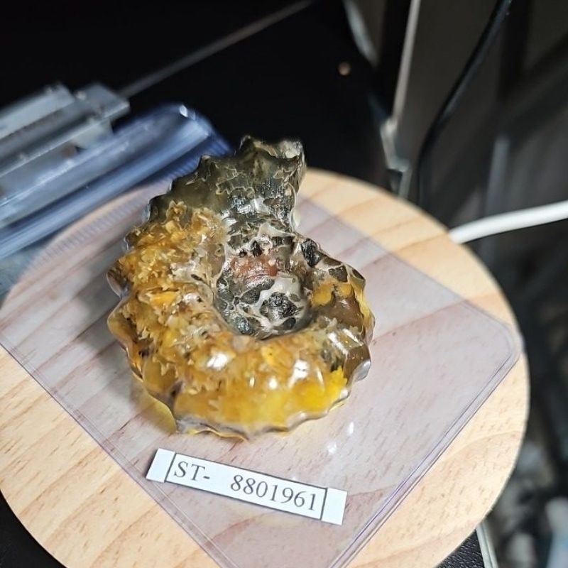 CRYSTAL AMMONITE  Madagascar Rough HQ BATU ASLI