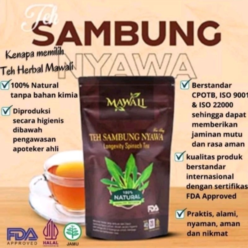 

TEH MAWALI SAMBUNG NYAWA/SAMBUNG NYOWO, 100% HERBAL ALAMI TANPA CAMPURAN