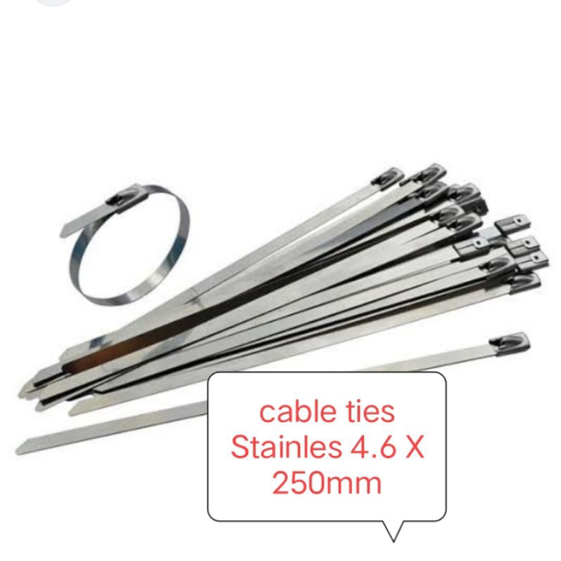 4.6* 250 stainless steel kabel ties/cable ties/kabel ties/dasi kabel