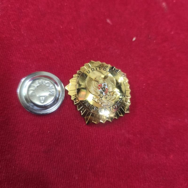 pin auditor inspektorat