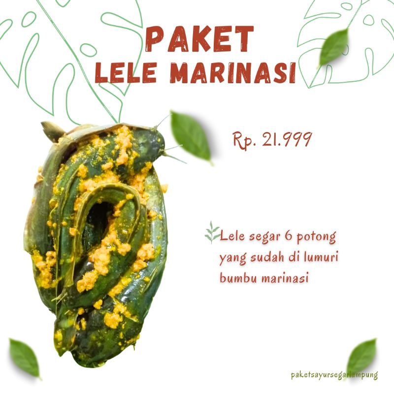 

(paket sayur) paket lele marinasi