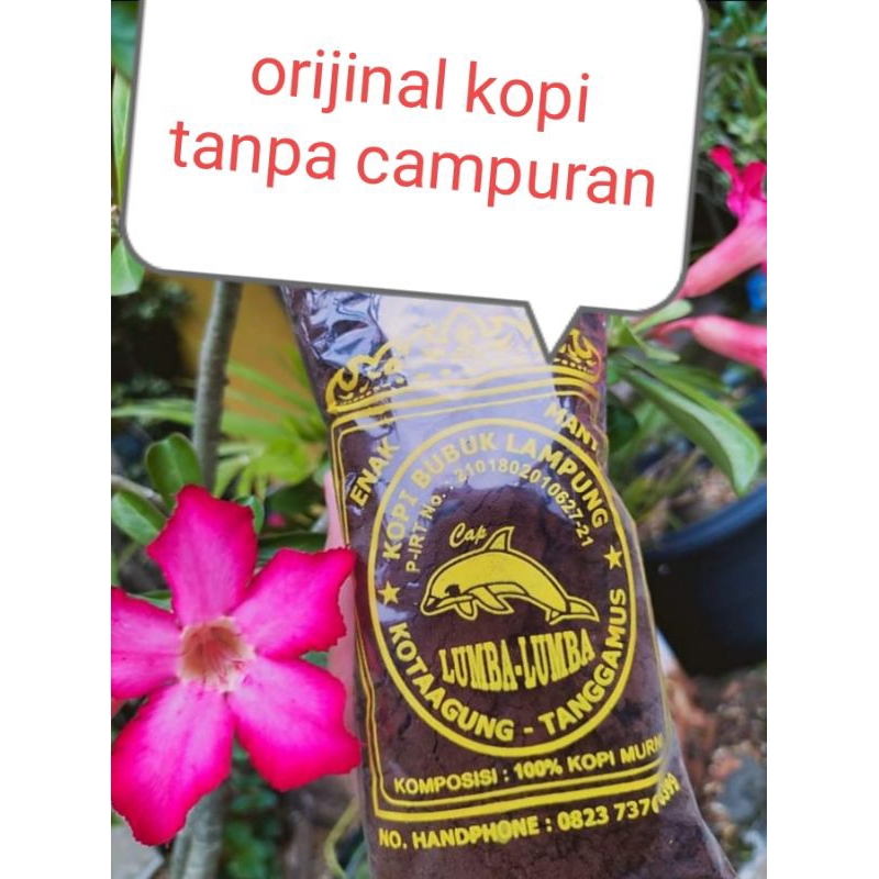 

kopi lumba-lumba ,kopi robusta, kopi enak, kopi hitam, kopi Lampung,kopi mantap, kopi asli, kopi murni,kopi terbaik...