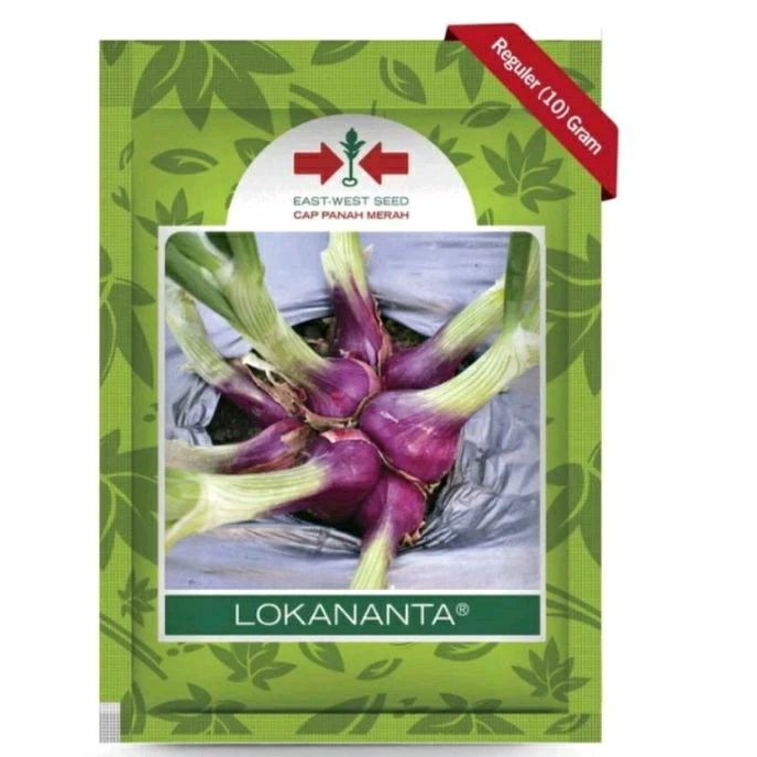 benih Bawang Merah LOKANANTA Bibit Bawang merah Bawang Merah