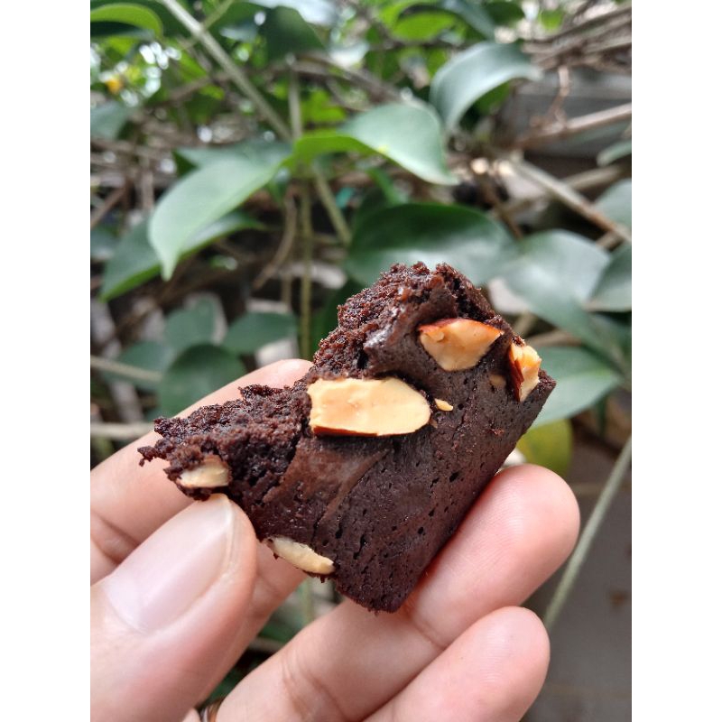 

FudgyBrownie-20x20