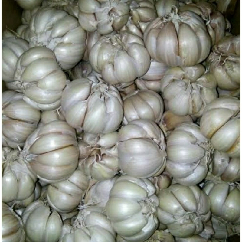 

bawang putih 250gr