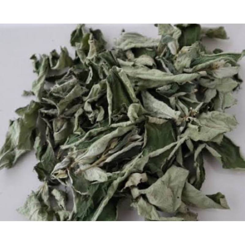 

Daun kersen kering MURNI DAUN tanpa batang-az