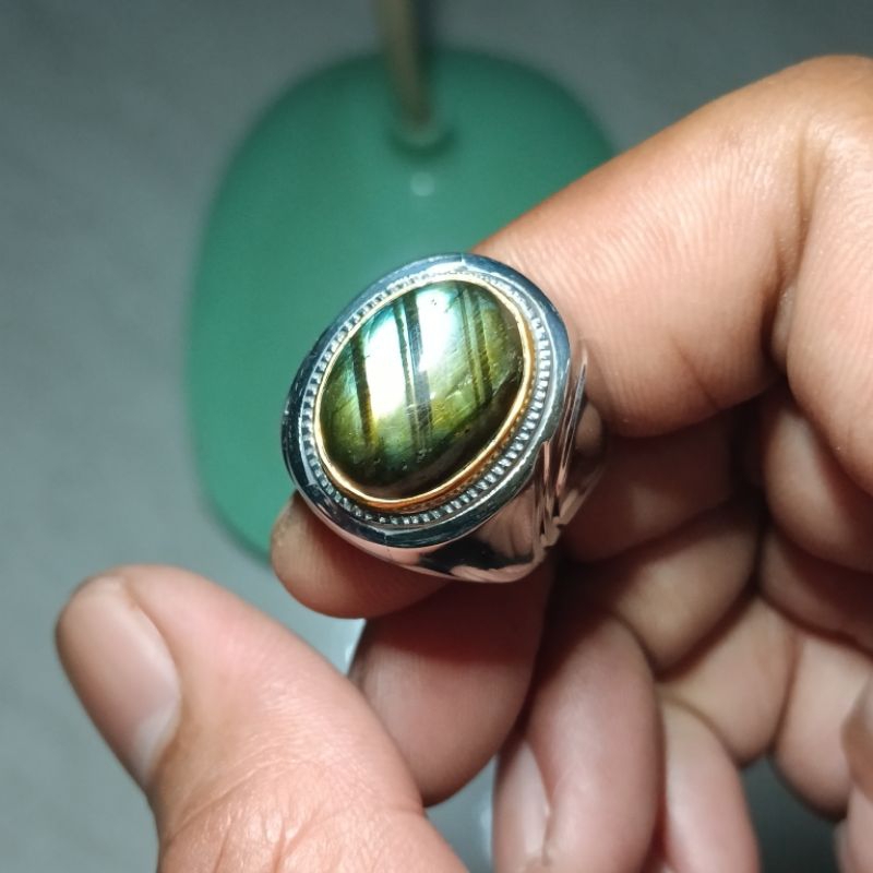 Labrador ring monel 8