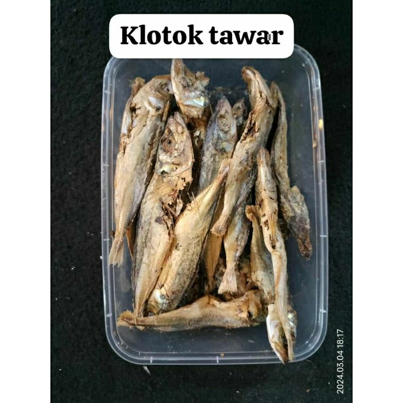 

ikan Klotok Tawar