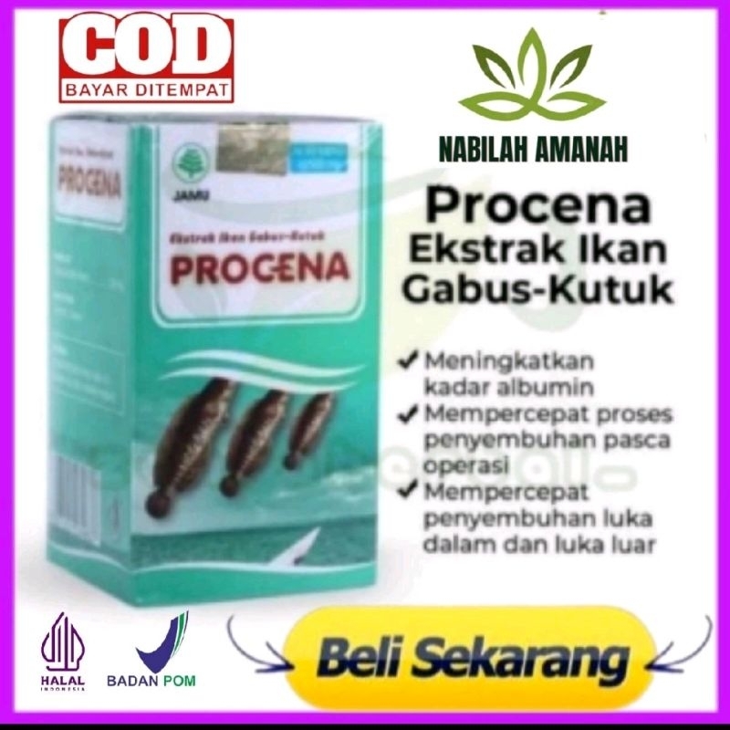 Kapsul Procena Kapsul Ikan Gabus Ekstrak Kutuk