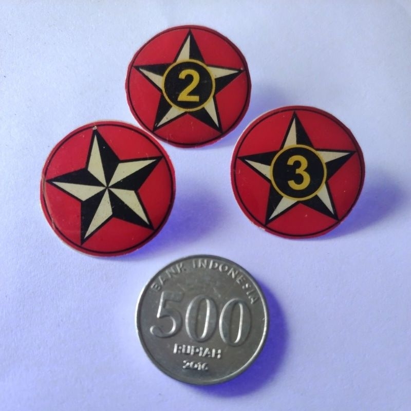 Bintang Tahunan (PIN) Penggalang