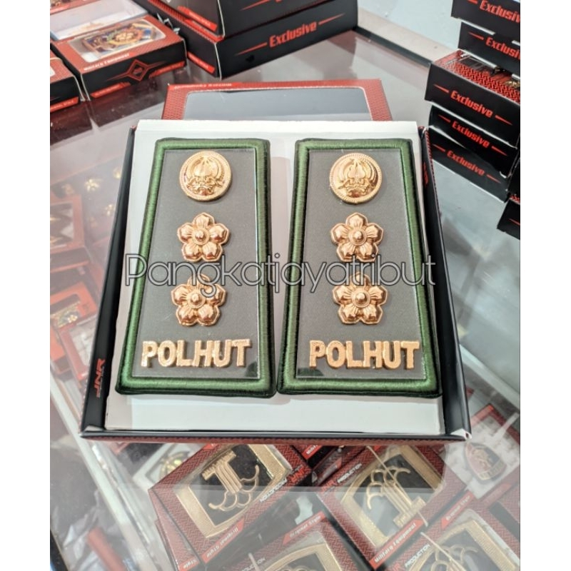 PANGKAT PDH POLHUT GOLONGAN 4A PANGKAT POLHUT