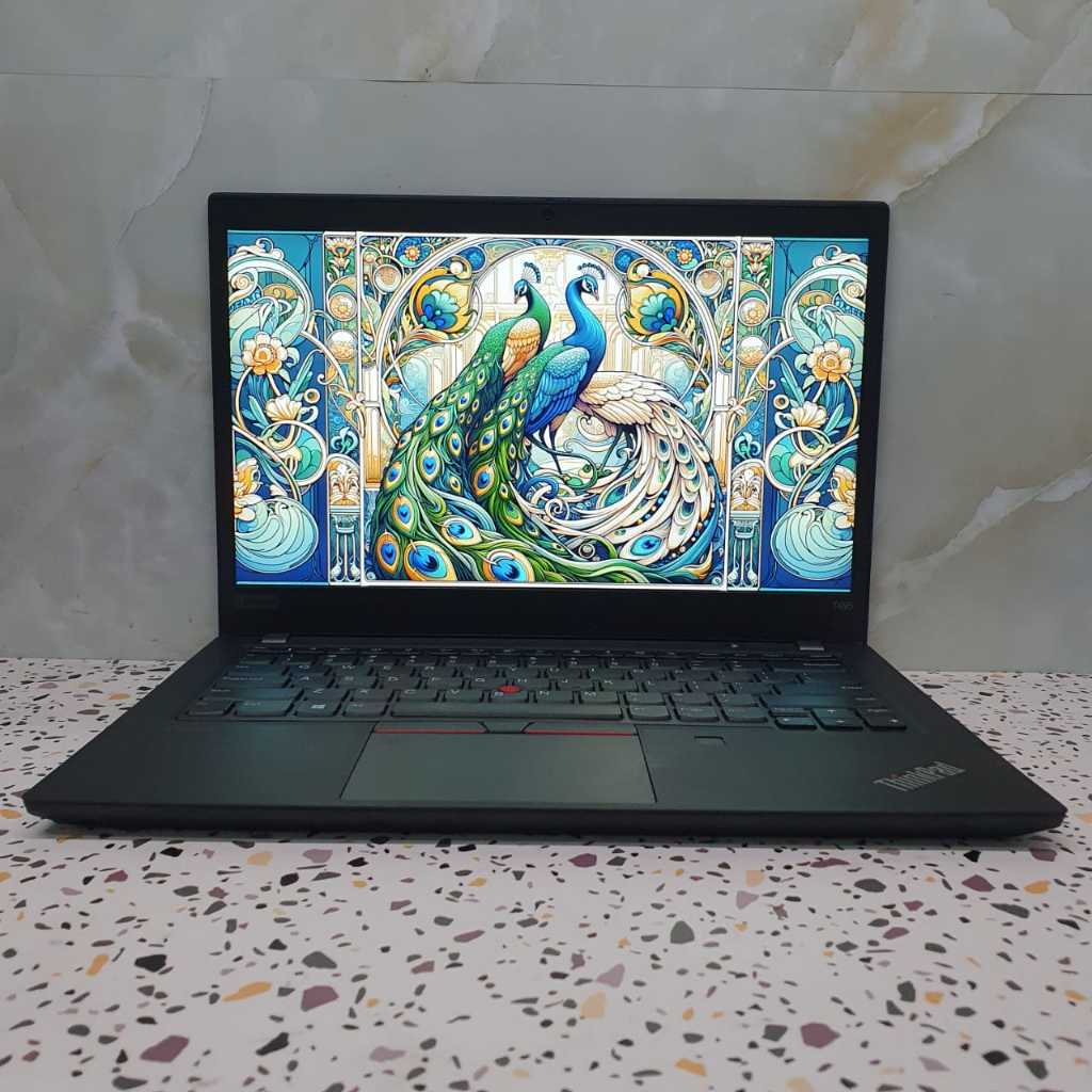 Lenovo Thinkpad T495 | Thinkpad T495s - Layar 14 Inch | VGA 2GB - Second Murah Bagus Bergaransi