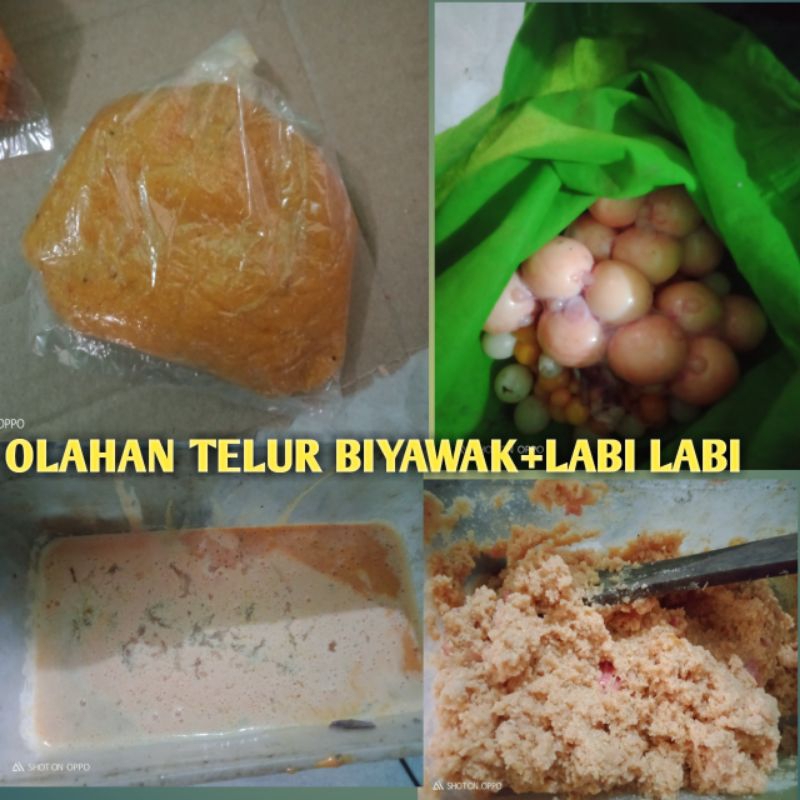 OLAHAN TELUR BIAWAK+ LABI LABI SIAP PAKAI UMPAN JOS GT LELE DAN BAWAL
