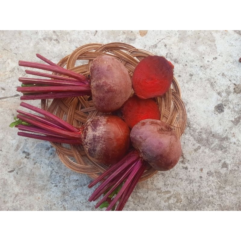 

Buah bit segar 500gr termurah