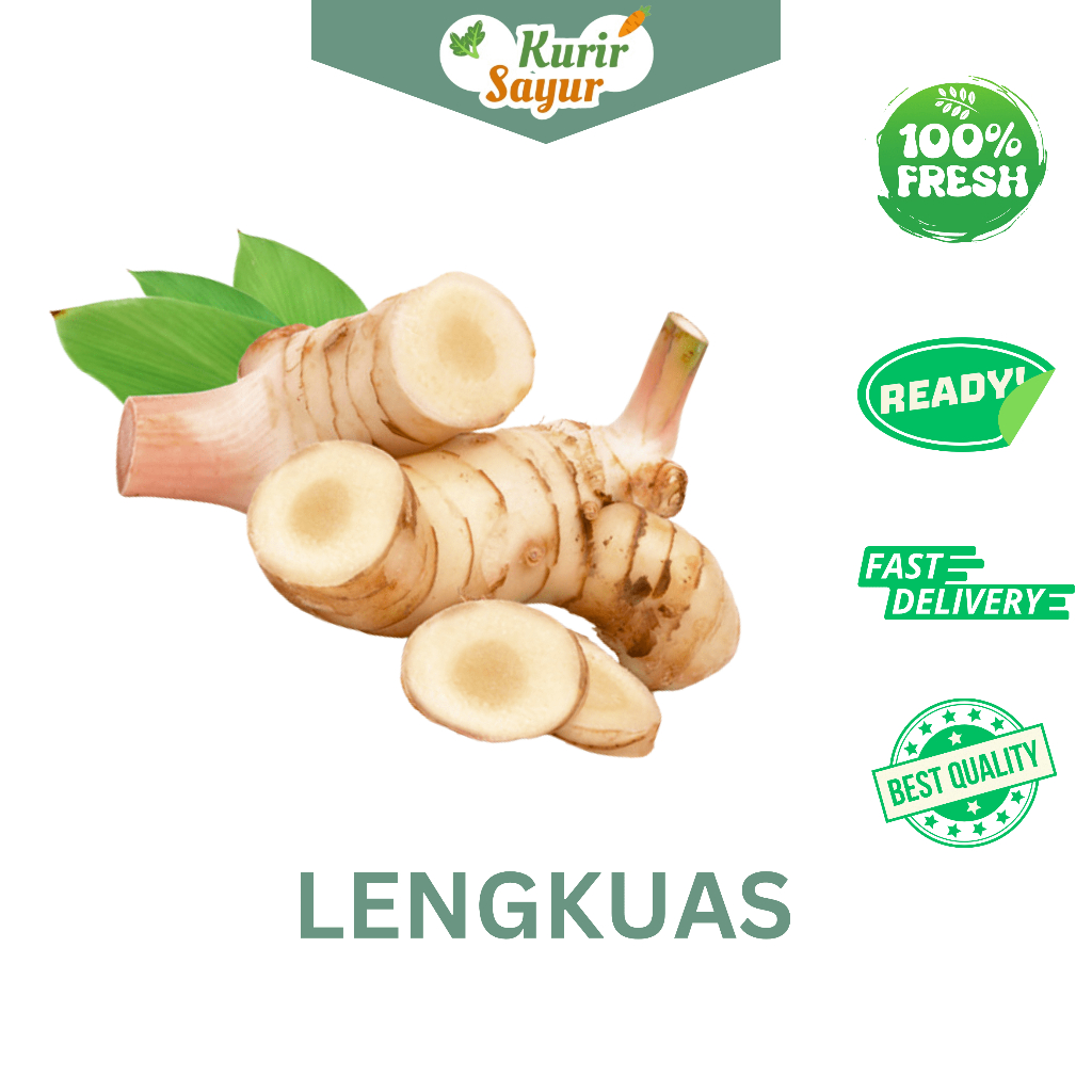 

KURIR SAYUR - LENGKUAS LAOS SEGAR ± 100-130GR