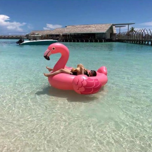 KODE X85E Flamingo Pink Floaties