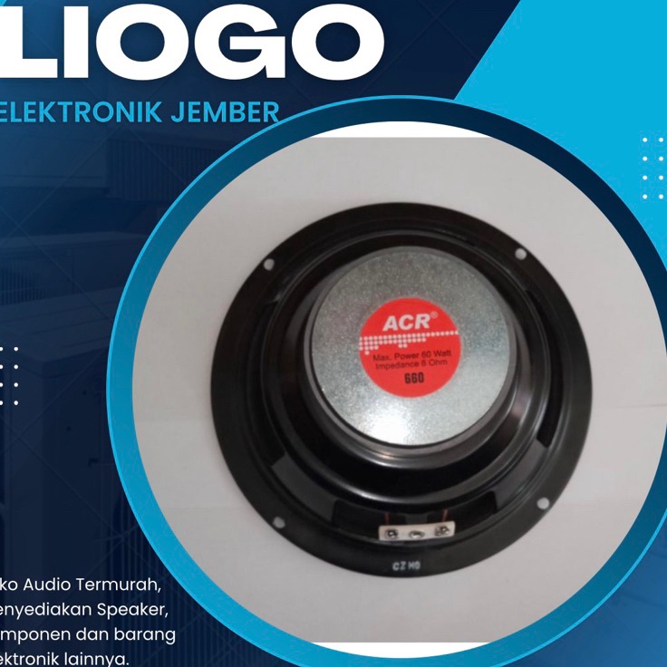 zmTerkini Speaker ACR 6 Inch ACR 66 ACR Woofer 6 Inch 66 M4