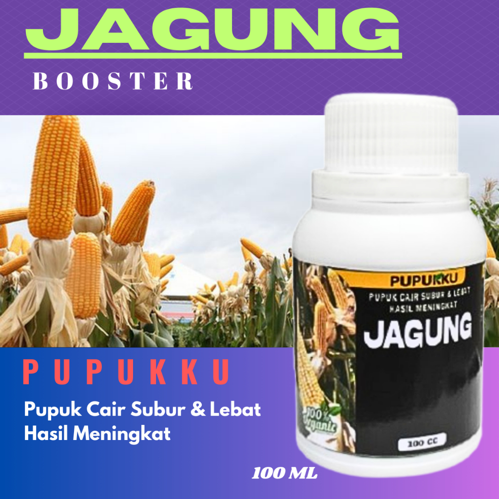Pupuk Jagung Organik Cair untuk Masa Pertumbuhan, Pembesar Buah, dan Percepatan Berbuah