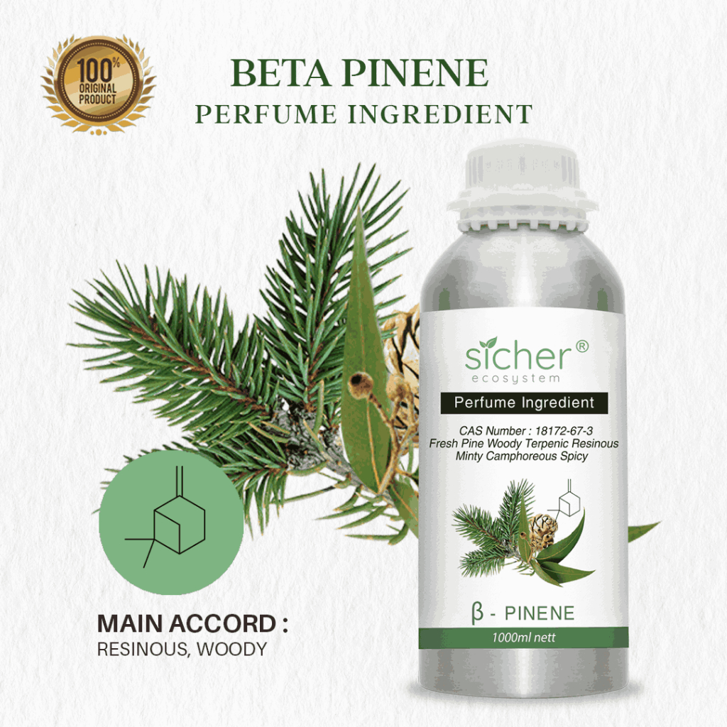 Sicher RAW Material / Perfume Ingredient / Natural Isolate Oil Beta Pinene 1000ml