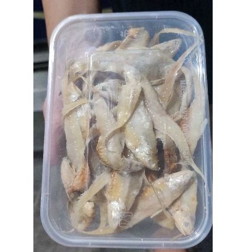 

Ikan Asin Bulu Ayam