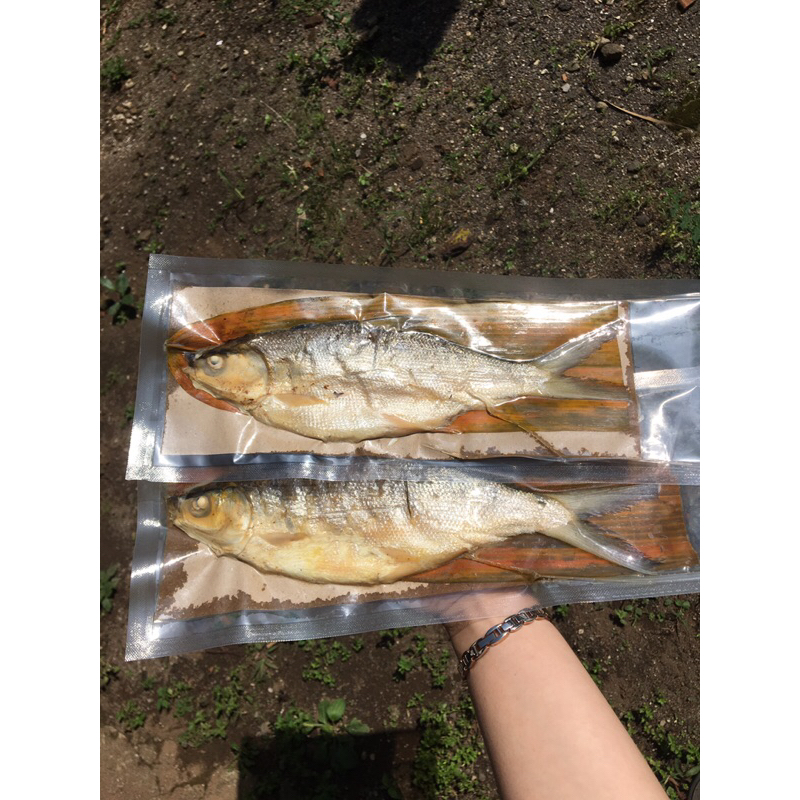 

Bandeng presto fresh vakum bandeng presto enak murah bandeng presto khas semarang