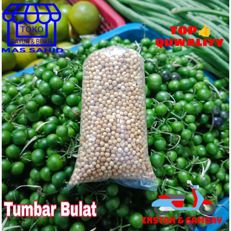 

Ketumbar Bulet Tumbar Bulat Utuh 40 Gram