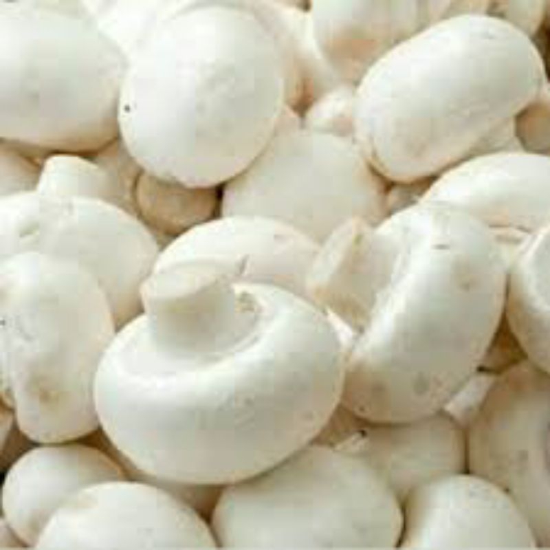 

jamur champignon/500gram