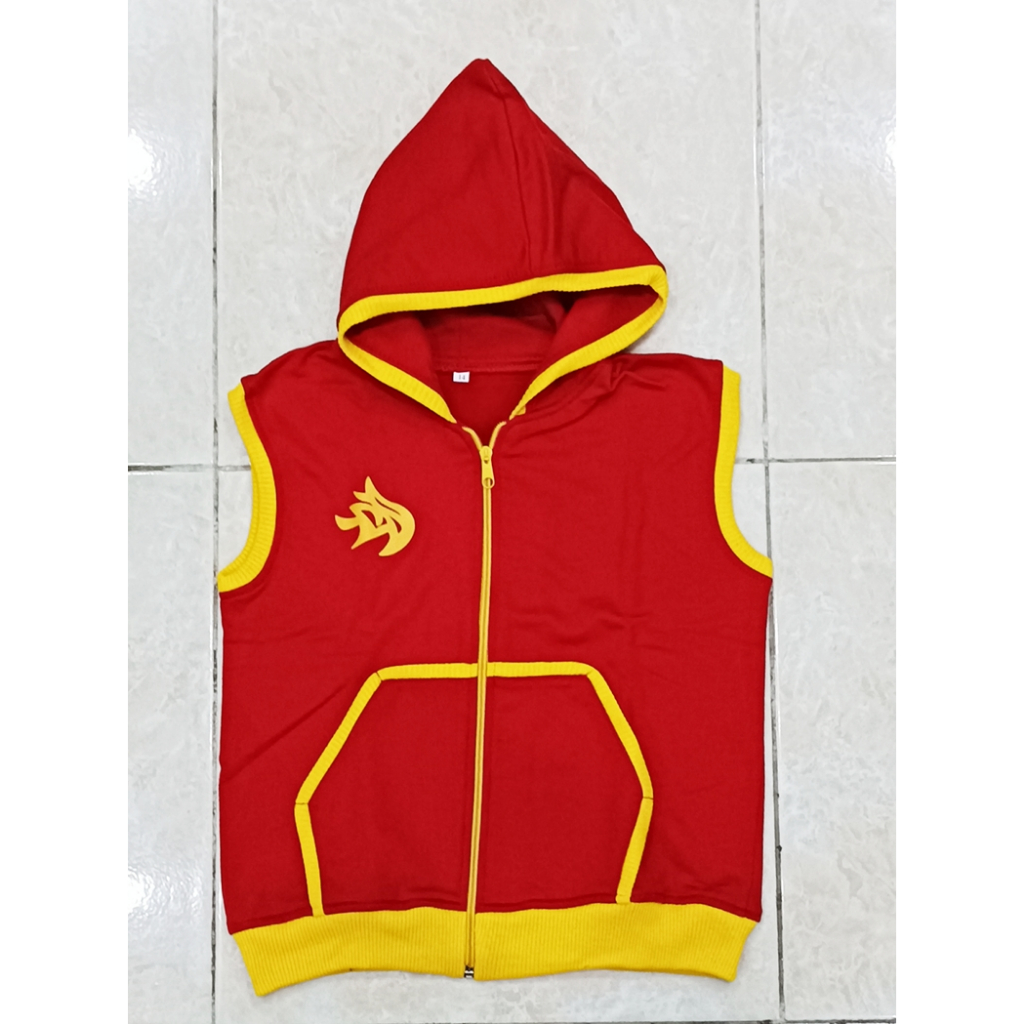 Baju Anak Laki-Laki Rompi BOBOIBOY API Preloved Premium Murah