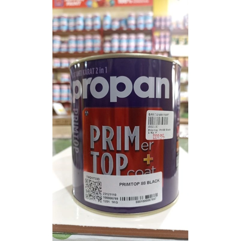 PROPAN CAT ANTI KARAT