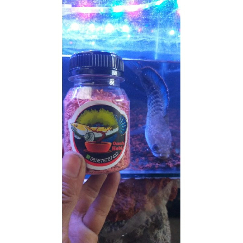 

Udang Kering omah Hoby Bejo