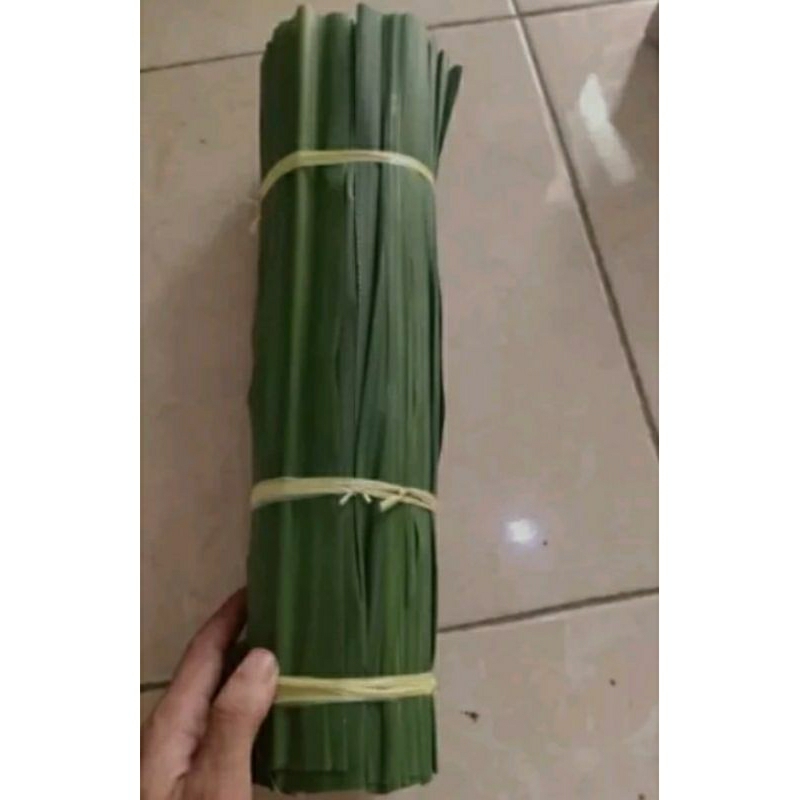 

DAUN TEBU MERAH SEGAR /FRESH 250 GRAM