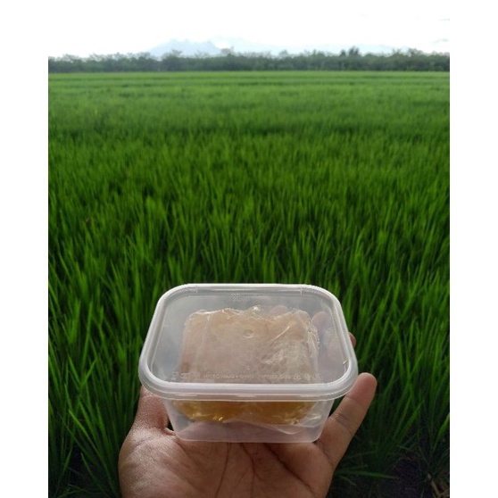 

9f Ready Madu sarang apis melifera madu asli HONEYCOMB berat 1 gram FREE BOX DUS PACKING G96