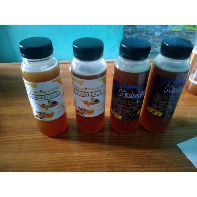 

madu trigona