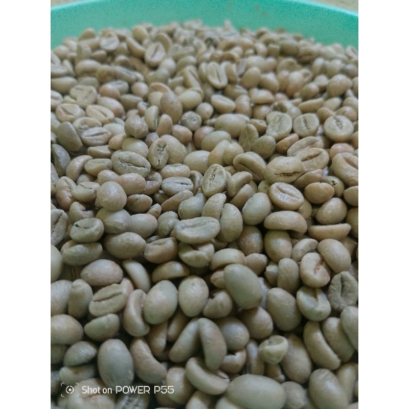 

GRENBEAN ROBUSTA 100%PETIK MERAH TEMANGGUNG