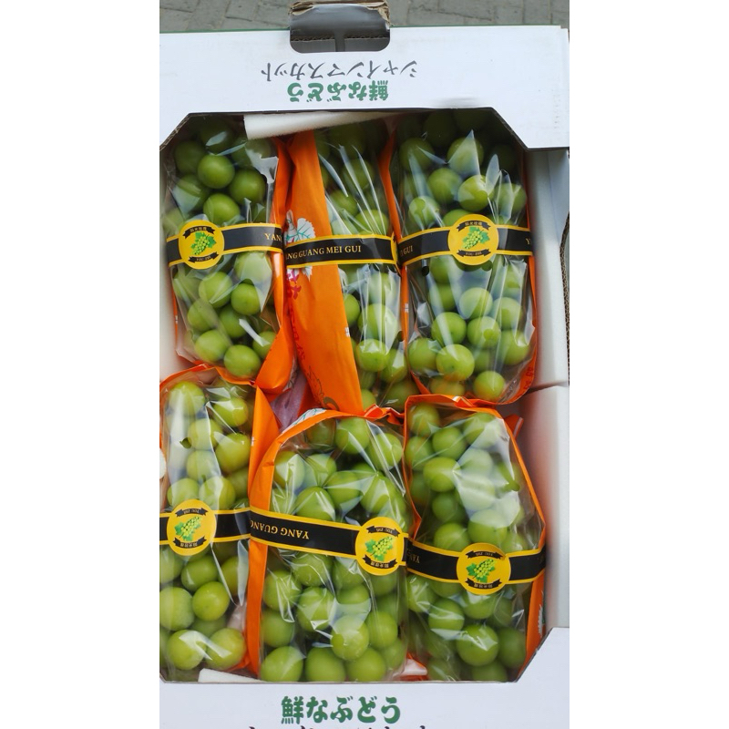 

Buah Anggur Shine Muscat Premium Fresh Segar Seedless