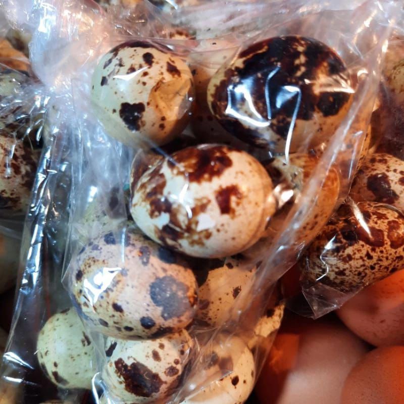 

telur puyuh matang perbungkus isi 9-10 butir