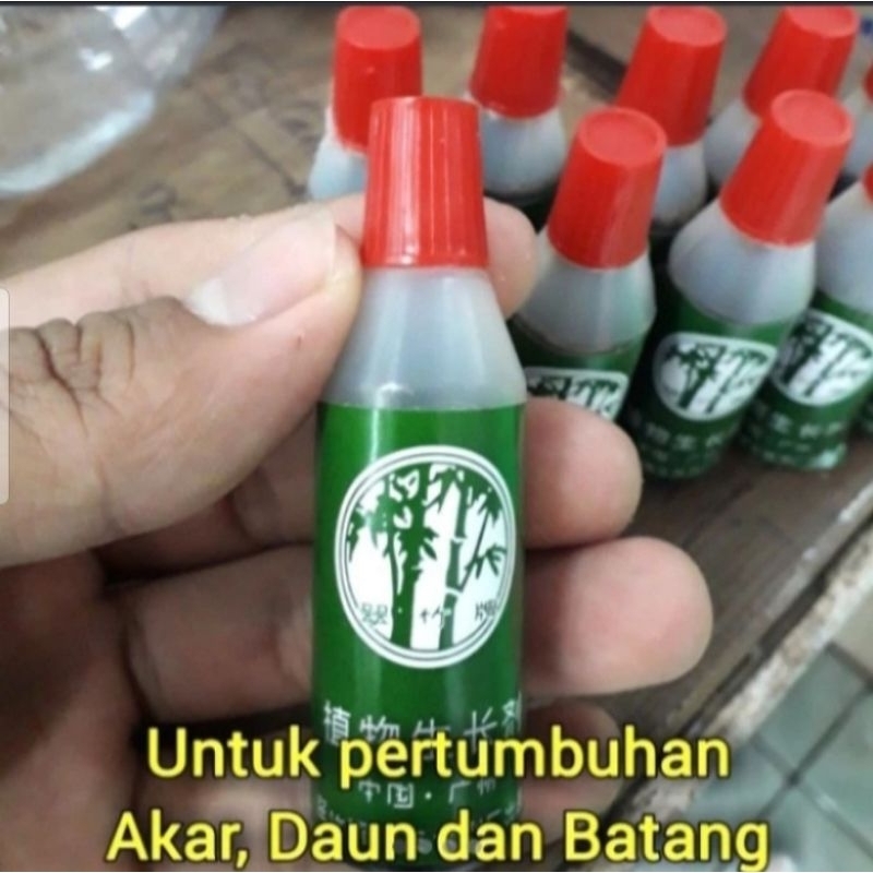 pupuk cair bambu ijo, zat percepat tumbuh tanaman