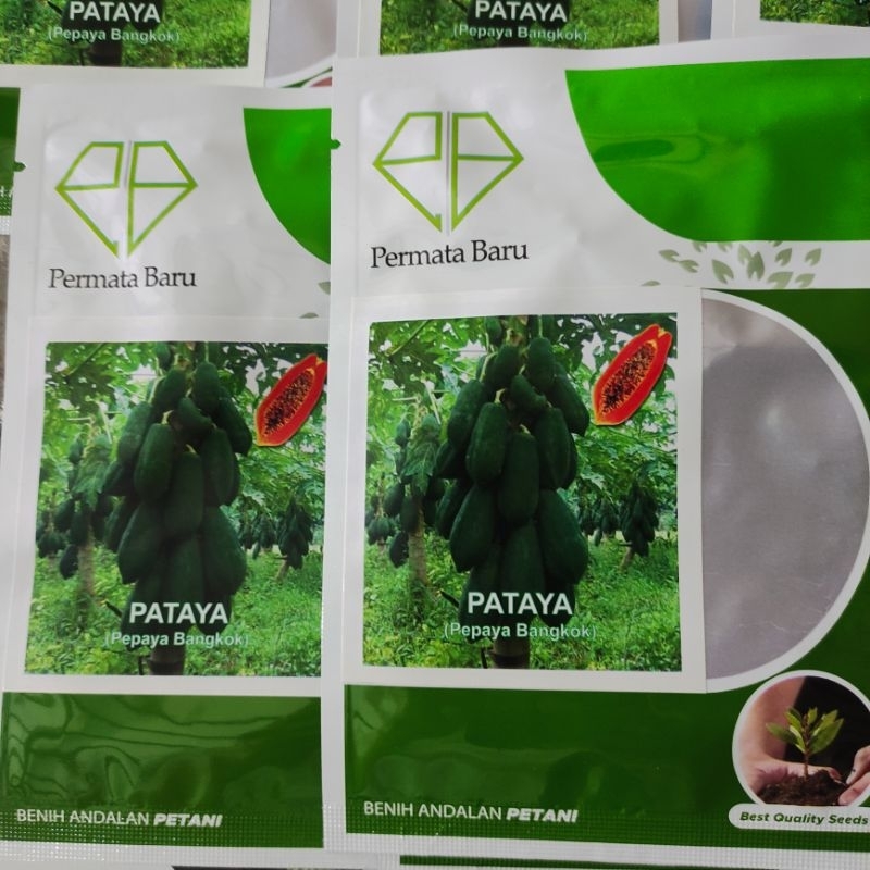 Bibit Biji Pepaya Bangkok Unggul PATAYA Isi 1 Gr | Benih Pepaya Bangkok | Pepaya Bangkok
