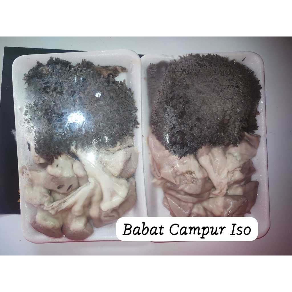 

Babat Mix Iso Sapi