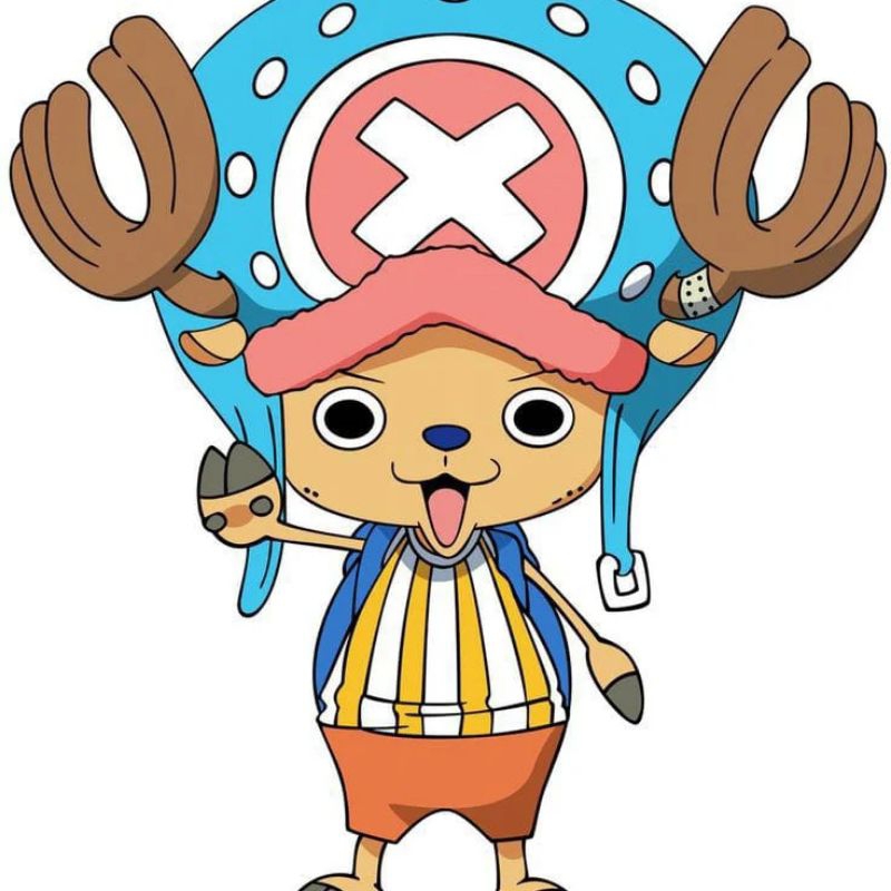 costume chooper one piece / costume chooper / costume one piece / costume chooper one piece / one pi