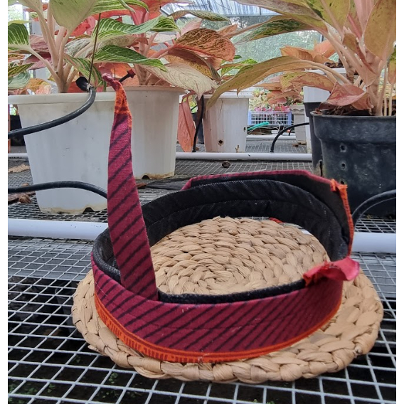 udeng madura anak laki laki sakera bolong || udeng jadi madura