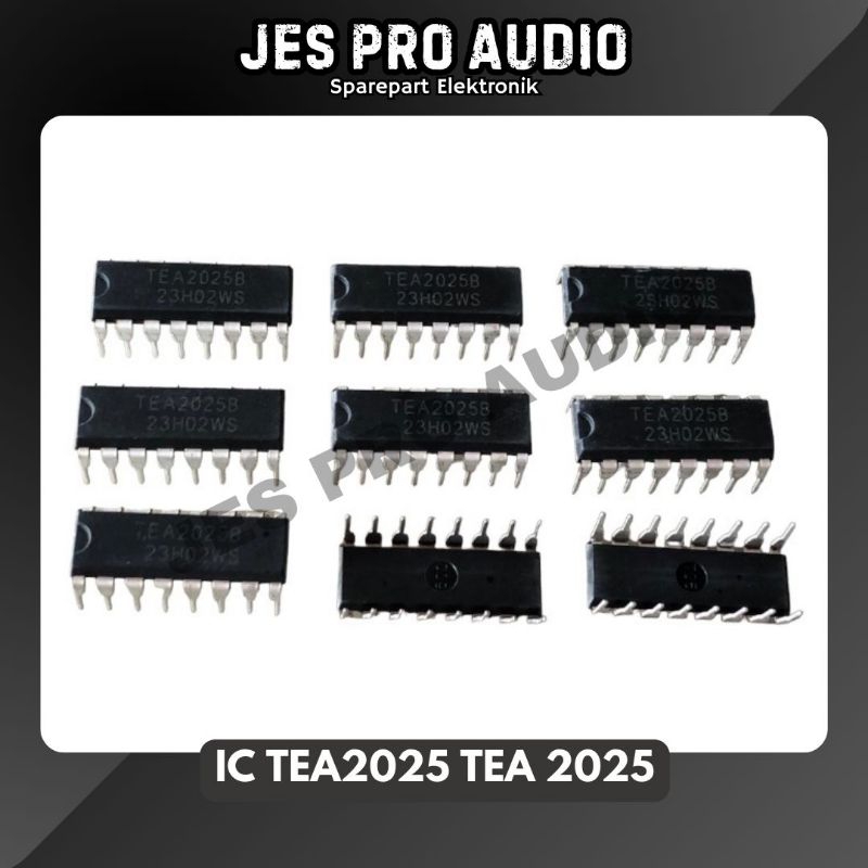 IC TEA2025 TEA 2025