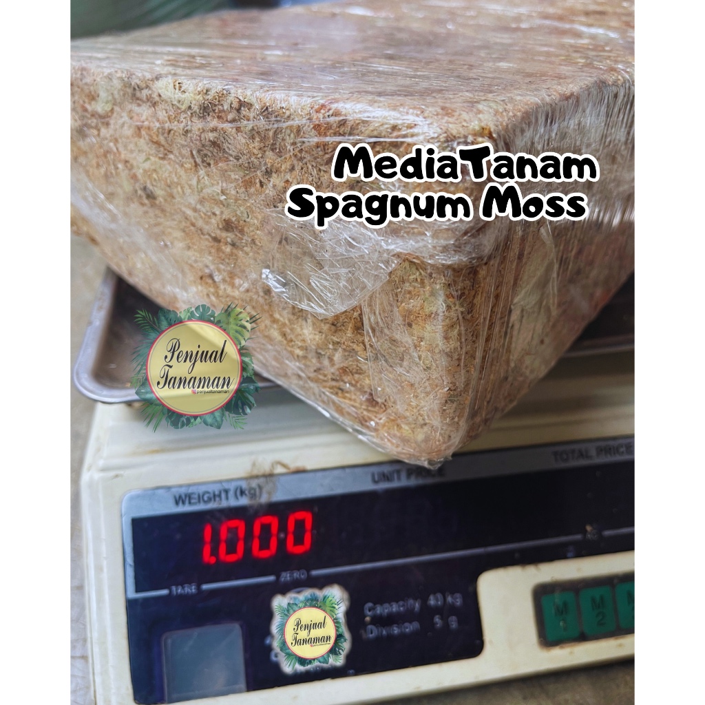 Sphagnum Moss Chile 1kg