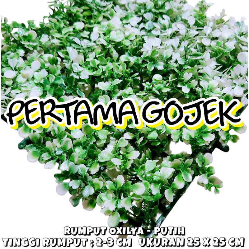 RUMPUT OXILYA WARNA UKURAN 25X25 CM/ Rumput Artificial/ Daun Rambat Artificial/ Daun Artificial/ Bun